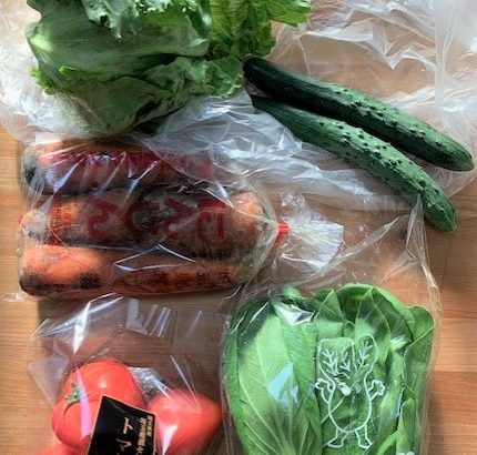 コープデリ使うならグリーンボックスがおすすめ【時短】旬野菜どれ買おう？の悩む時間を削減